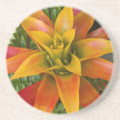 Guzmania Bromelien-Pflanze Floral Getränkeuntersetzer (Vorne)