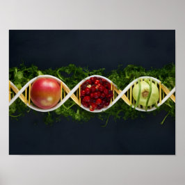 GVO-Lebensmittel und gentechnisch veränderte Kultu Poster