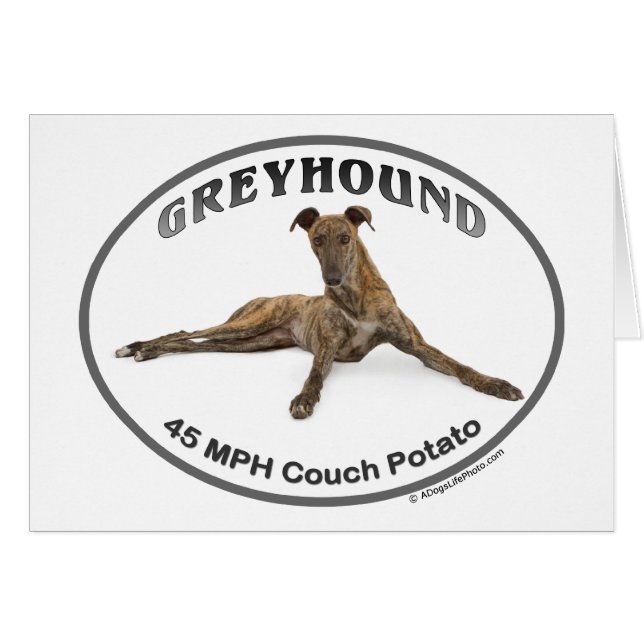 GVV 40MPH Couch Potato (Vorderseite (Horizontal))