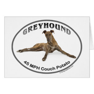 GVV 40MPH Stubenhocker