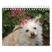 Gwendolyn 2015 Kalender (Titelbild)