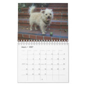 Gwendolyn 2015 Kalender (Mär 2027)