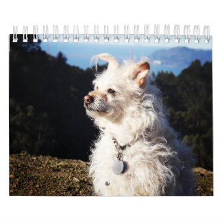 Gwendolyn 2016 Kalender
