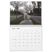 Gwendolyn Kalender 2017 (Mär 2027)
