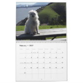 Gwendolyn Kalender 2017 (Feb 2027)