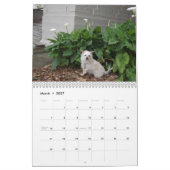 Gwendolyn Kalender 2018 (Mär 2027)