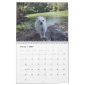 Gwendolyn Kalender 2018 (Jan 2027)