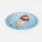 GWP Paper-Teller Pappteller (Schrägansicht)