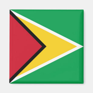 GY - Guyana - Flagge Magnet