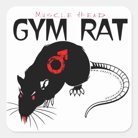 Gym Rat Quadratischer Aufkleber (Vorderseite)