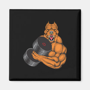 Gymnastik-Fitness Pit Bull Gym - Gewichtheben Magnet