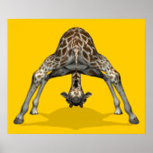 Gymnastik Giraffe Poster (Vorne)