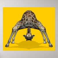 Gymnastik Giraffe