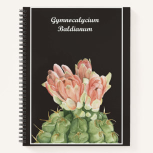 Gymnocalycium Baldianum Cactus Notizblock