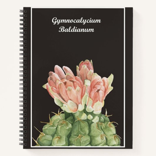 Gymnocalycium Baldianum Cactus Notizblock (Vorderseite)