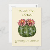 Gymnocalycium Baldianum-Kaktus Postkarte (Vorne/Hinten)