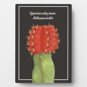 Gymnocalycium Cactus Fotoplatte