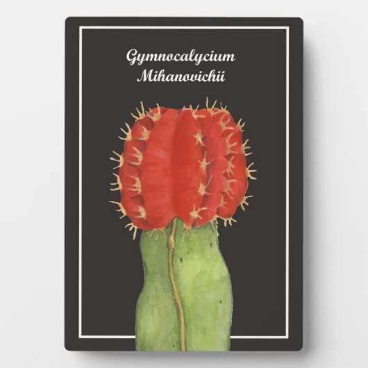 Gymnocalycium Cactus Fotoplatte (Vorderseite)