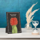 Gymnocalycium Cactus Fotoplatte (Seite)