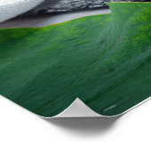 Gyokuro - Grüner Tee - ZEN BUDDHISMUS Poster (Ecke)