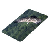 Gyps fulvus fliegen magnet (Linke Seite)