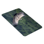 Gyps fulvus fliegen magnet (Rechte Seite)