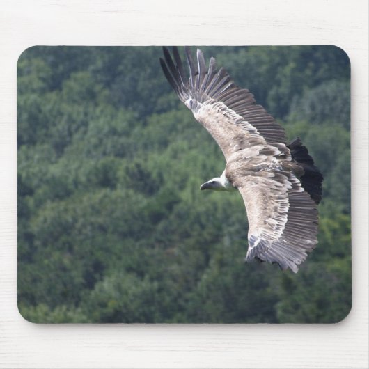 Gyps fulvus fliegen mousepad (Vorne)