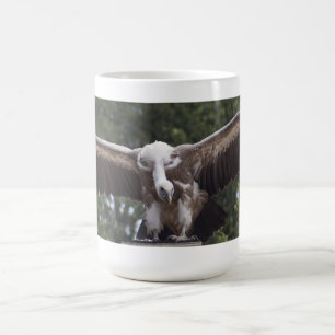Gyps fulvus kaffeetasse