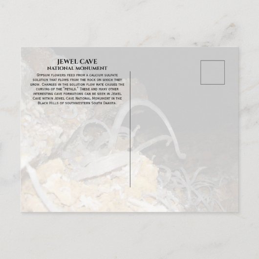 Gypsum-Blume, Jewel Cave National Monument, SD Postkarte (Rückseite)
