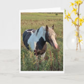 Gypsy pony karte (Gelbe Blume)