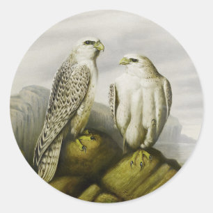 Gyr-Falken auf einem Felsvorsprung, Bird Illustrat Runder Aufkleber
