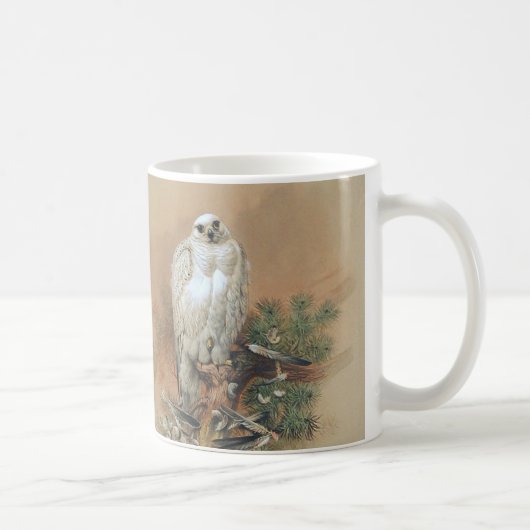 Gyrfalcon - 1861 kaffeetasse (Rechts)