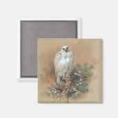 Gyrfalcon - 1861 magnet (Vorderseite/Rückseite)