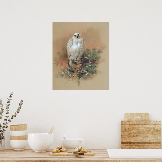 Gyrfalcon - 1861 poster (Küche)