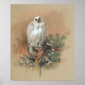 Gyrfalcon - 1861 poster (Vorne)