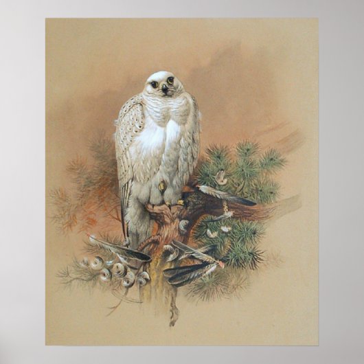 Gyrfalcon - 1861 poster (Vorne)