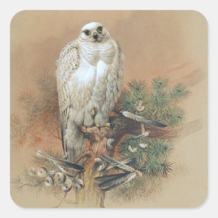 Gyrfalcon - 1861 quadratischer aufkleber