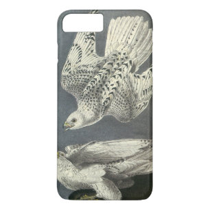 Gyrfalcon durch Audubon Case-Mate iPhone Hülle