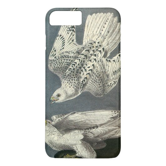 Gyrfalcon durch Audubon Case-Mate iPhone Hülle (Rückseite)