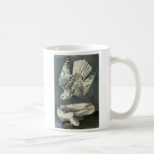 Gyrfalcon durch Audubon Kaffeetasse (Rechts)