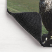 Gyrfalcon, Falco rusticolus, juvenil Mousepad (Ecke)