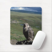 Gyrfalcon, Falco rusticolus, juvenil Mousepad (Mit Mouse)