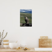Gyrfalcon, Falco rusticolus, juvenil Poster (Küche)