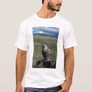 Gyrfalcon, Falco rusticolus, juvenil T-Shirt