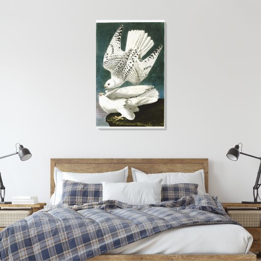 Gyrfalcon Fine Art von John Audubon Leinwanddruck (Insitu (Schlafzimmer))