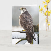 Gyrfalcon Karte (Gelbe Blume)