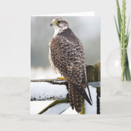 Gyrfalcon Karte