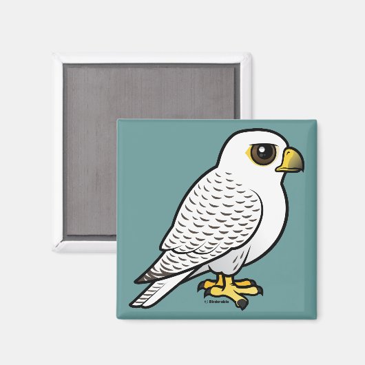 Gyrfalcon Magnet (Vorderseite/Rückseite)