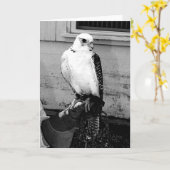 Gyrfalcon ruht auf dem Handler's gauntlet notecard Karte (Gelbe Blume)