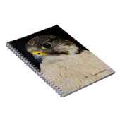 Gyrfalcon Saker Hybrid Falcon Notizblock (Rechte Seite)